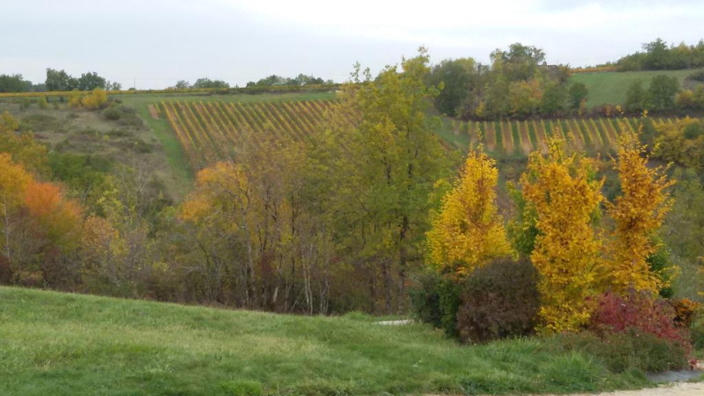 Les Hauts D'Albas Albas  Rum bild
